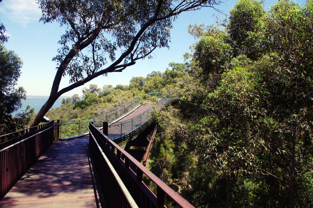 Kings Park 