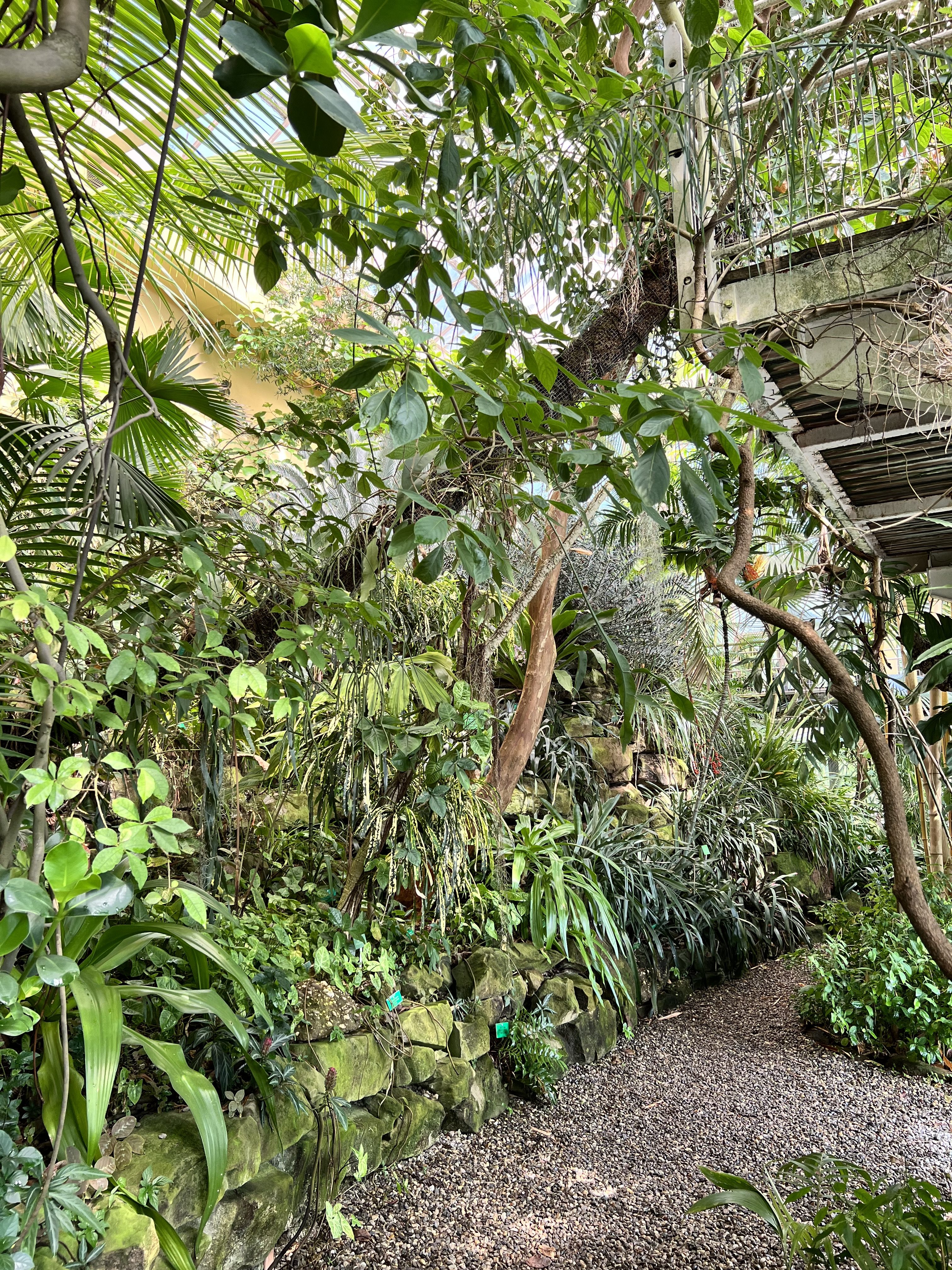 Jardin Botanique - Strasbourg