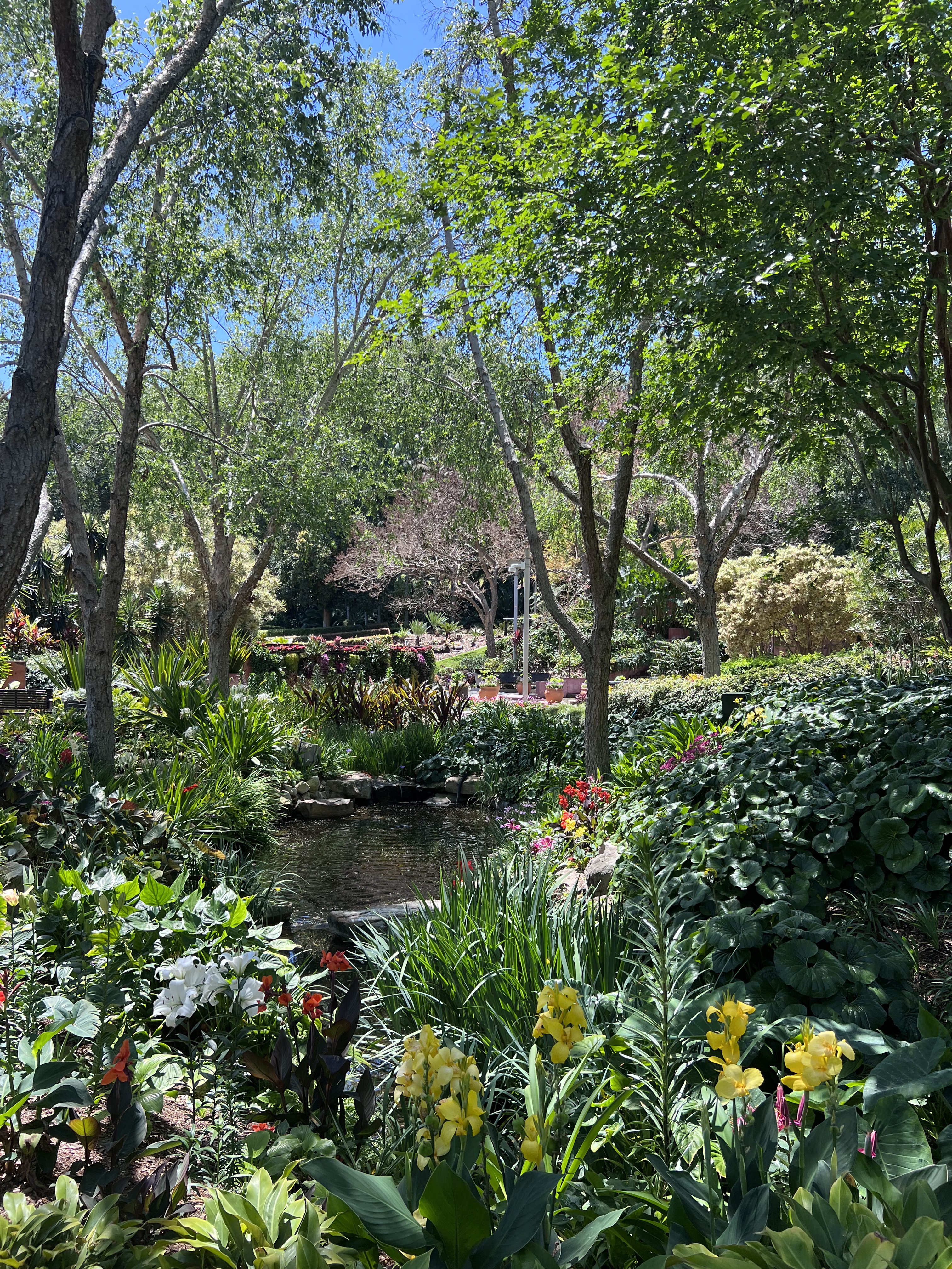 Roma Street Parkland