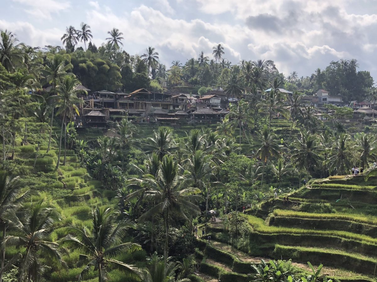 VISITER UBUD EN 4 JOURS –&nbsp;ITINÉRAIRE