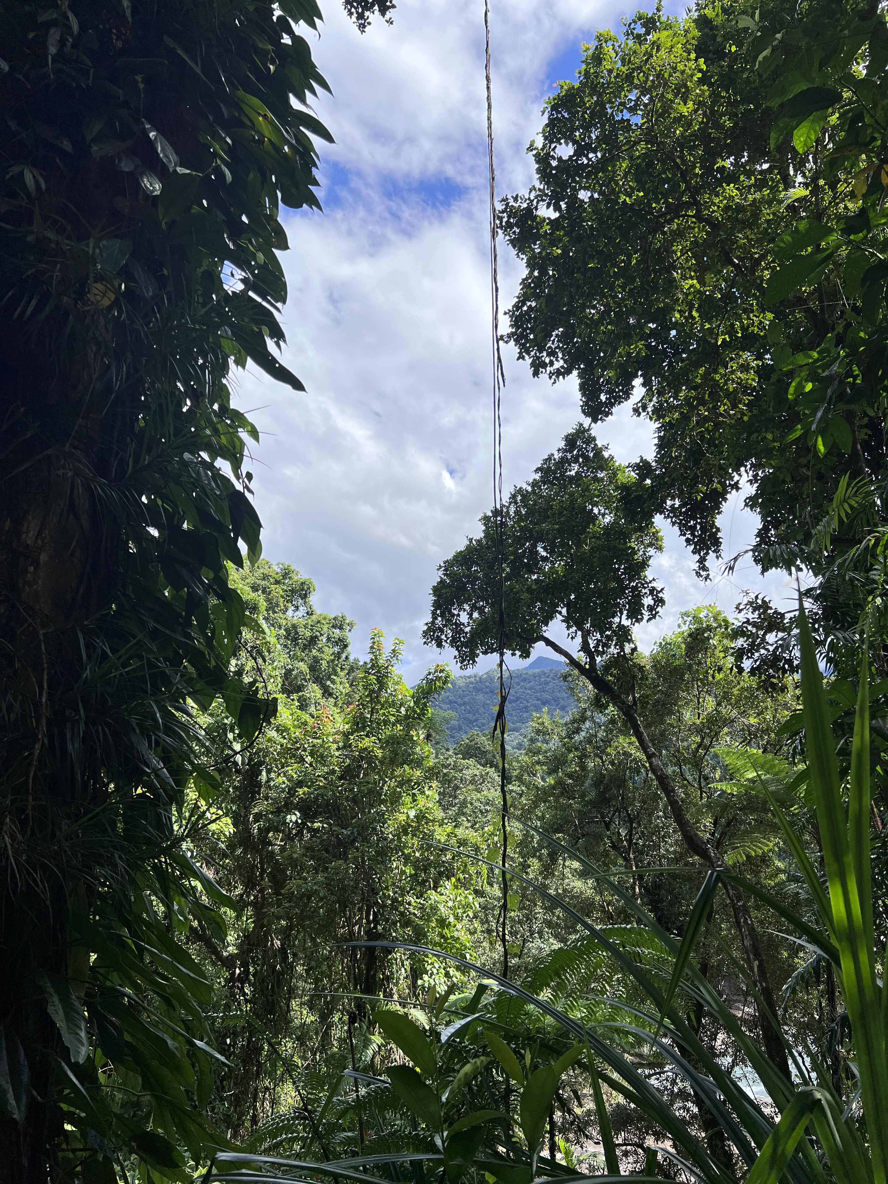 Babinda Boulders