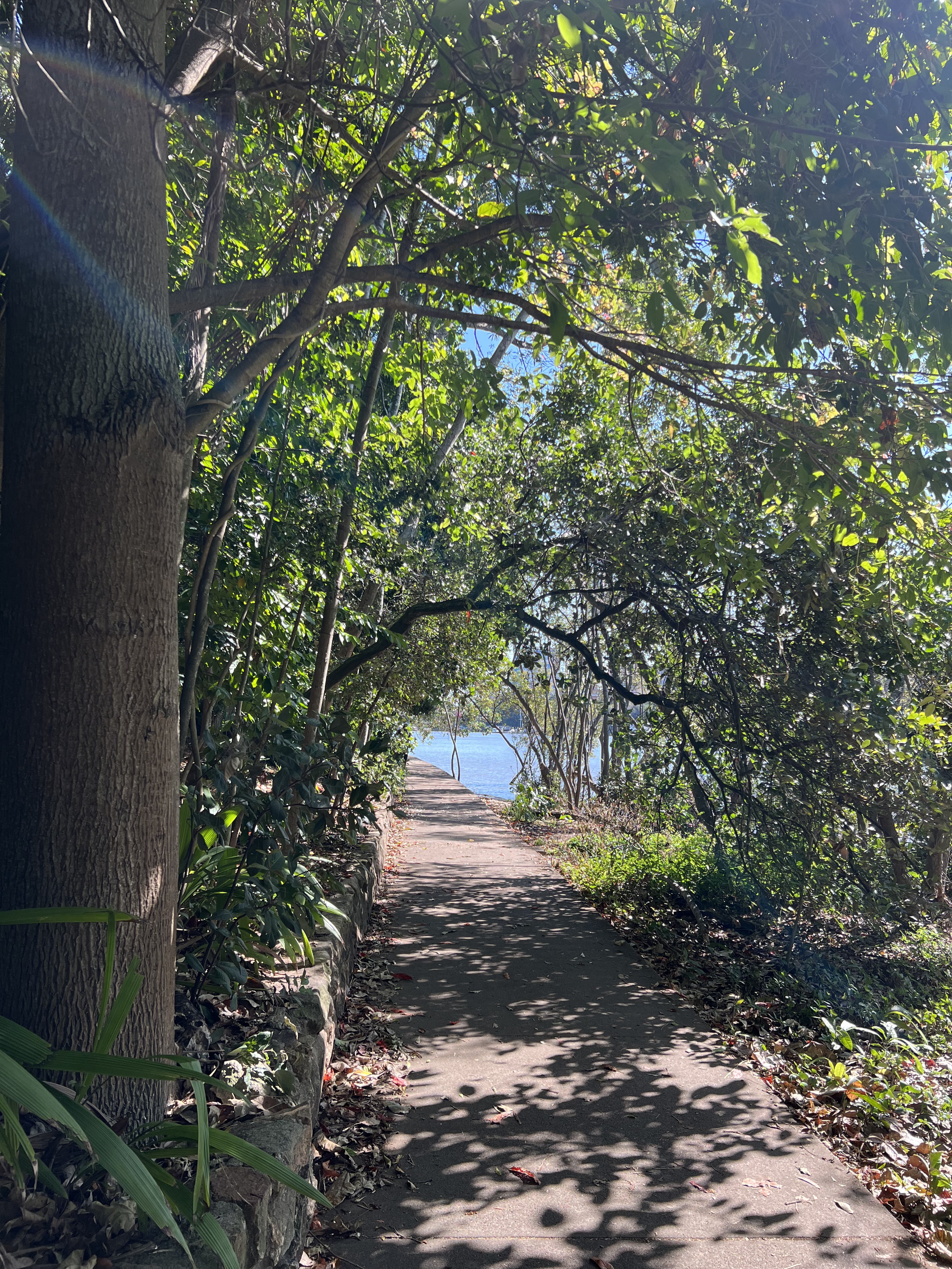 City Botanic Gardens