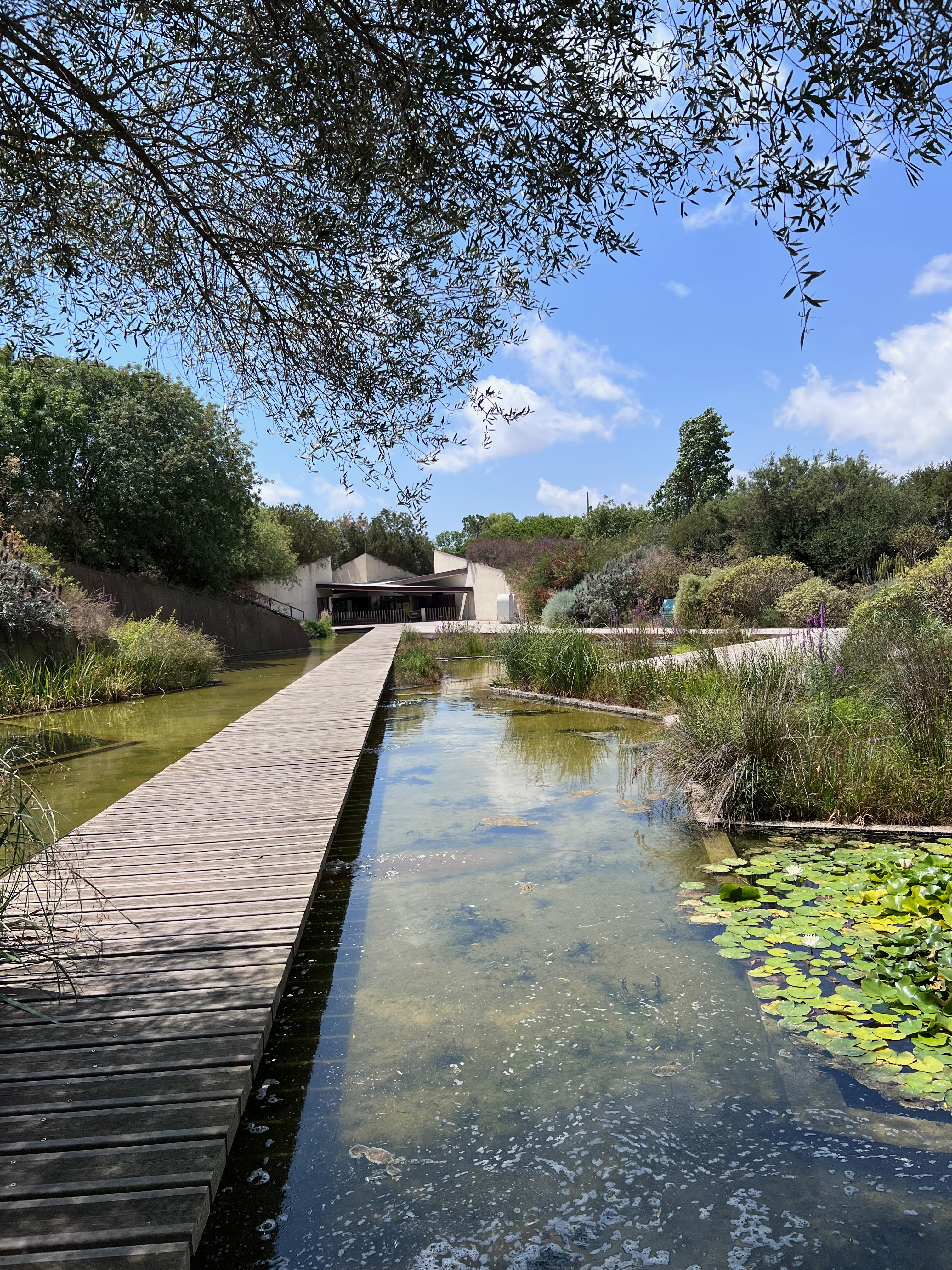 Jardin Botanique - Barcelone