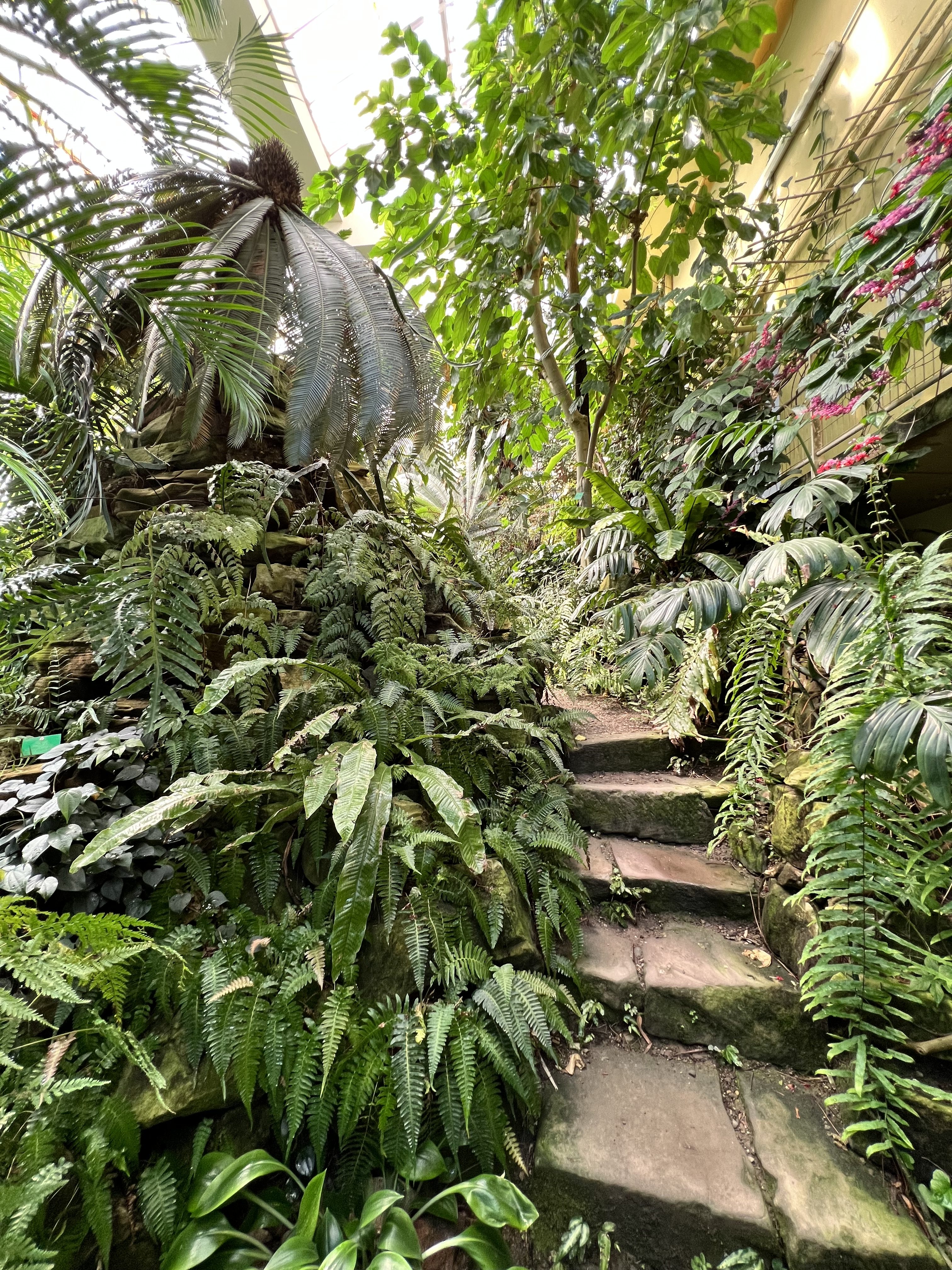 Jardin Botanique - Strasbourg