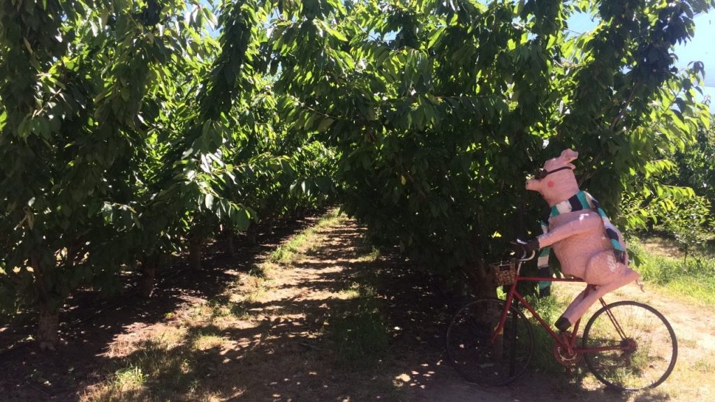 COMMENT TROUVER UN JOB EN AUSTRALIE&nbsp;?