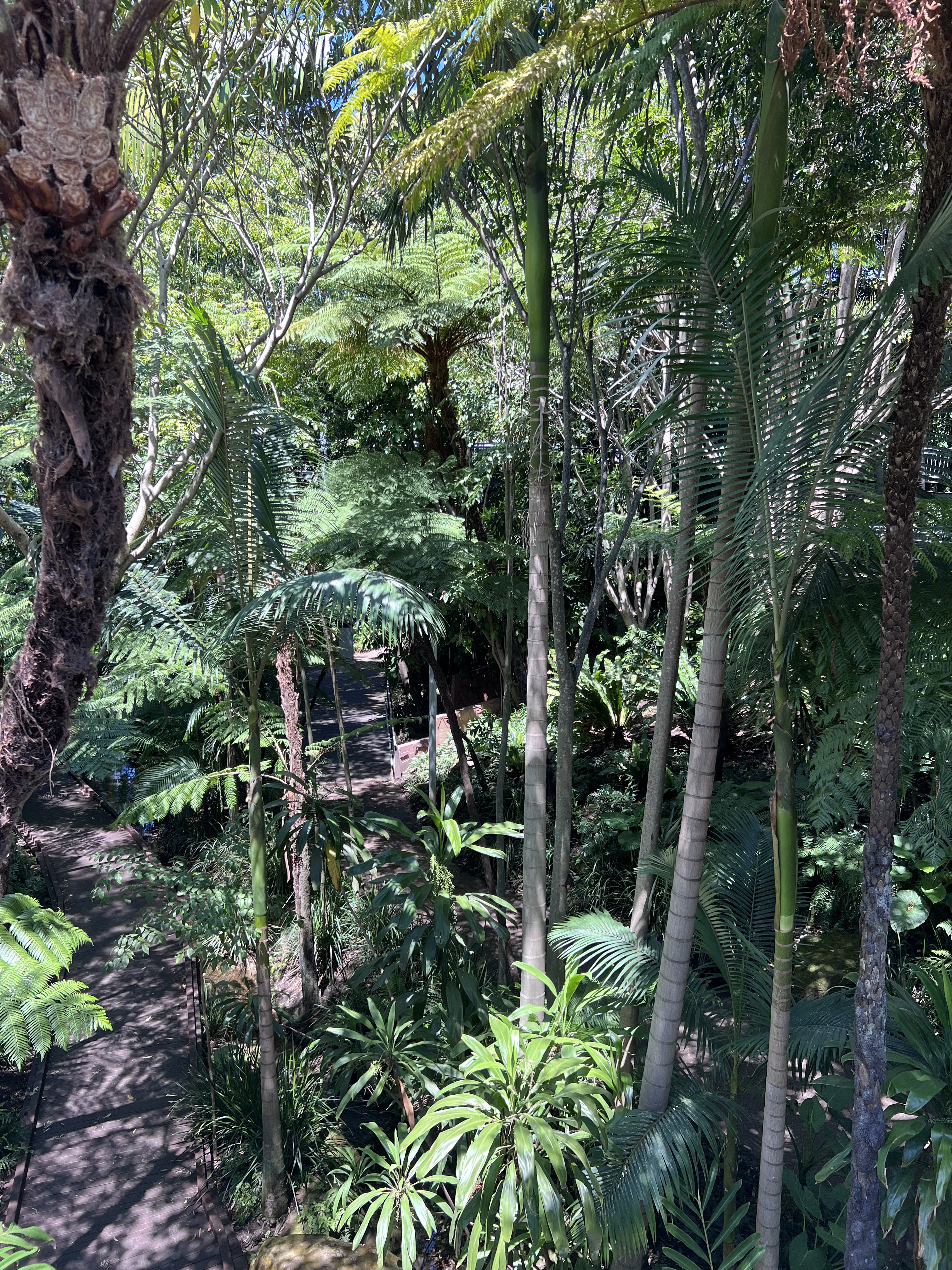 Roma Street Parkland
