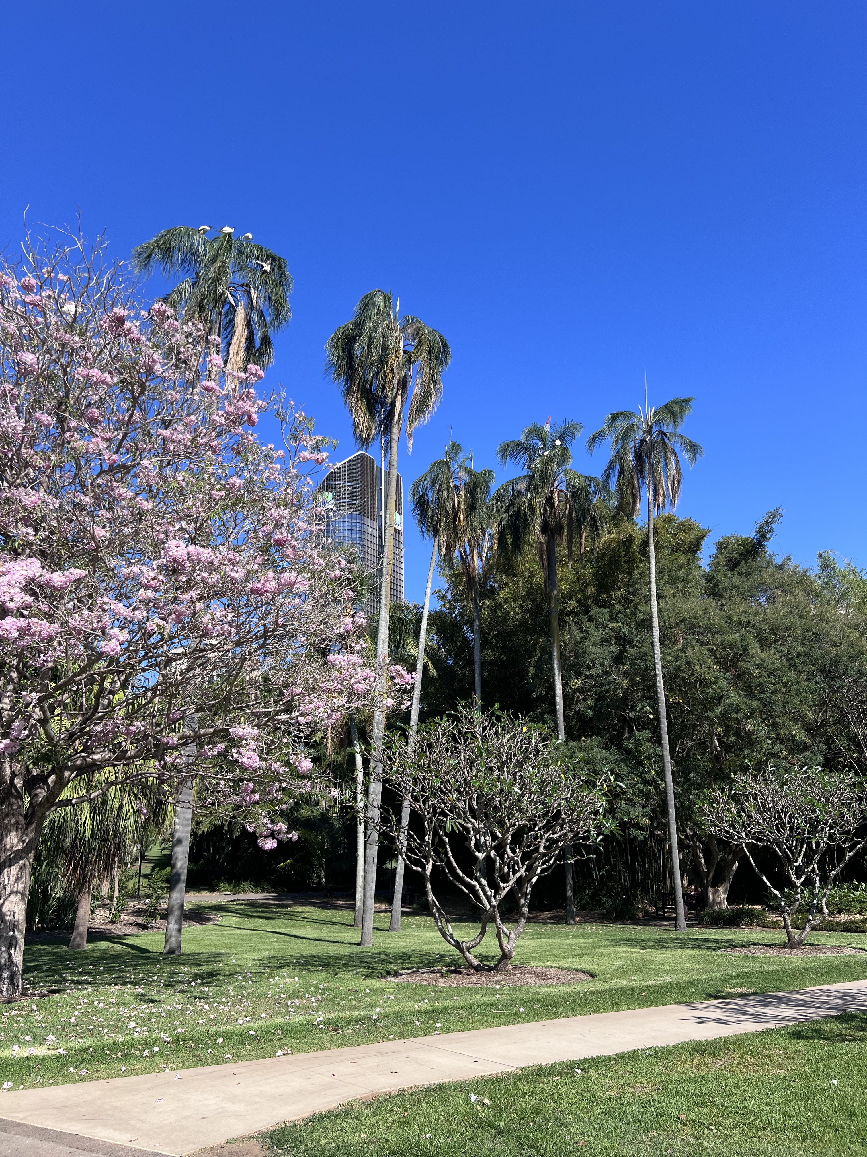 City Botanic Gardens