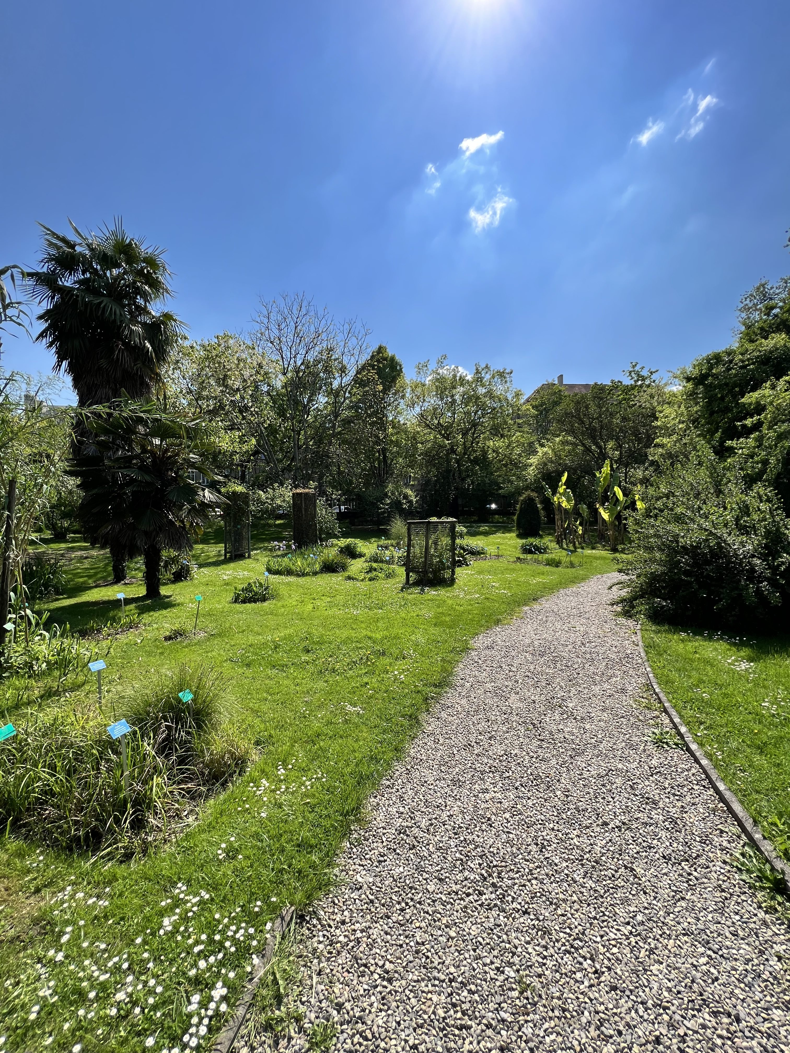 Jardin Botanique - Strasbourg