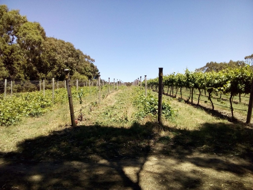 TRAVAILLER DANS LES FERMES EN&nbsp;AUSTRALIE