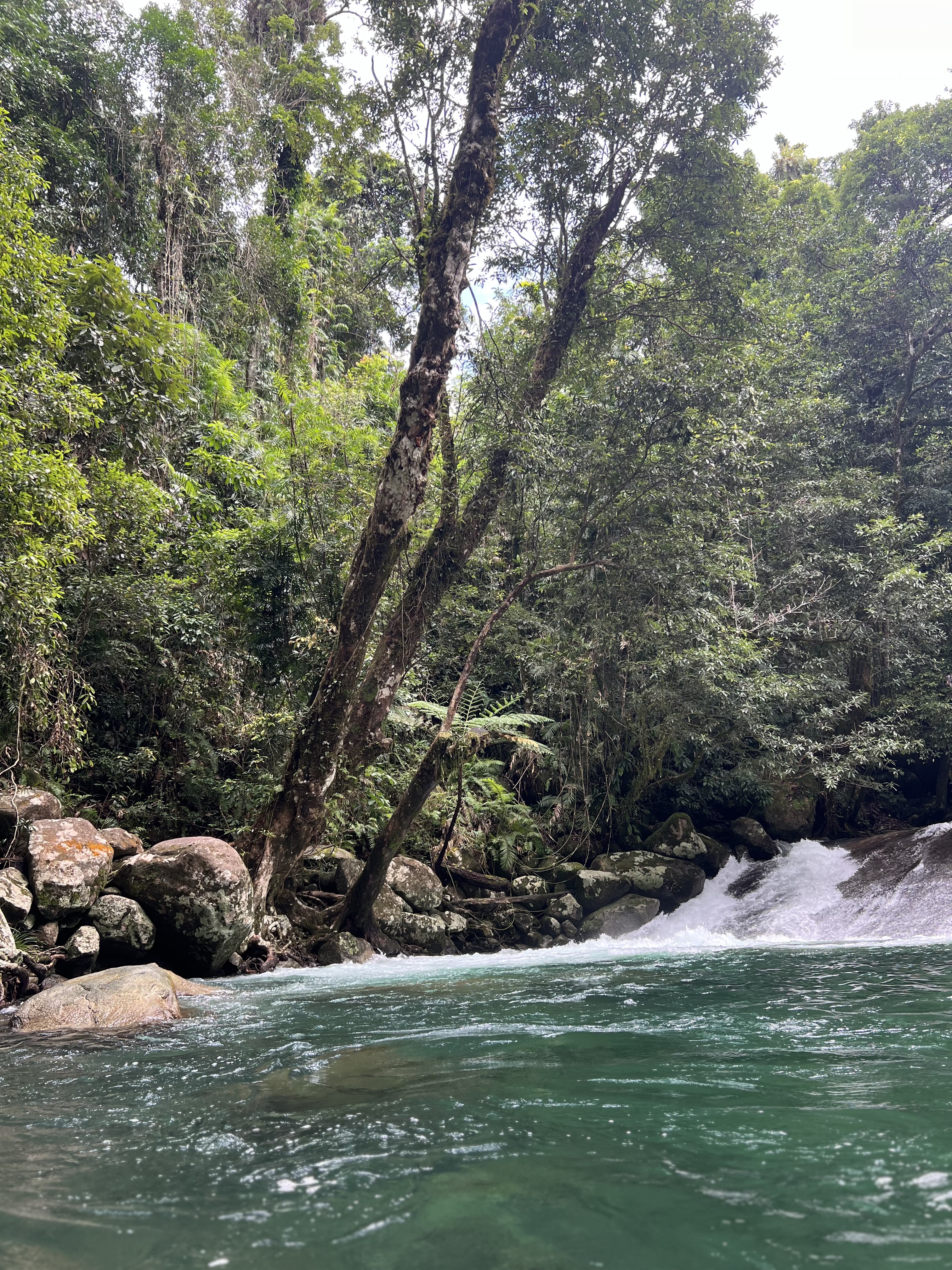 Josephine falls