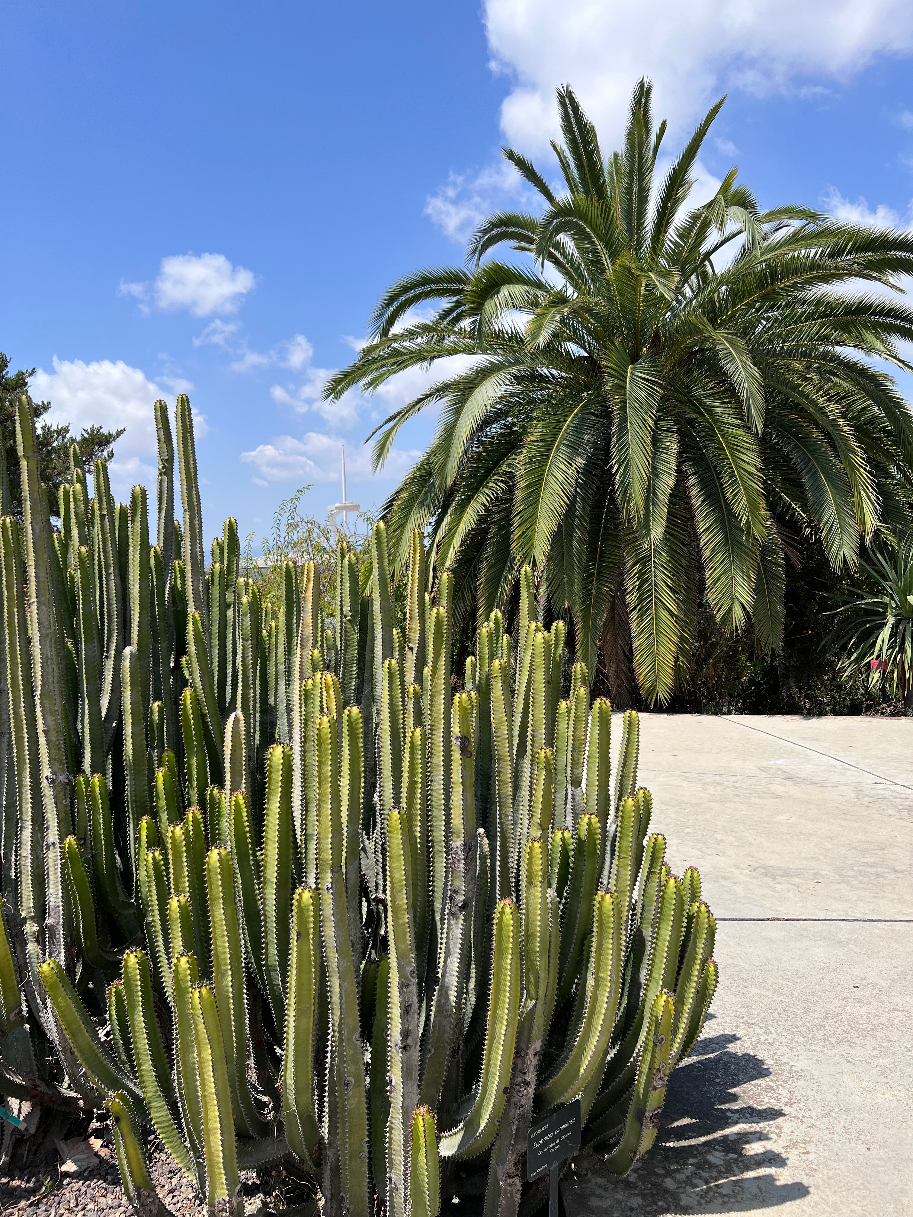 Jardin Botanique - Barcelone