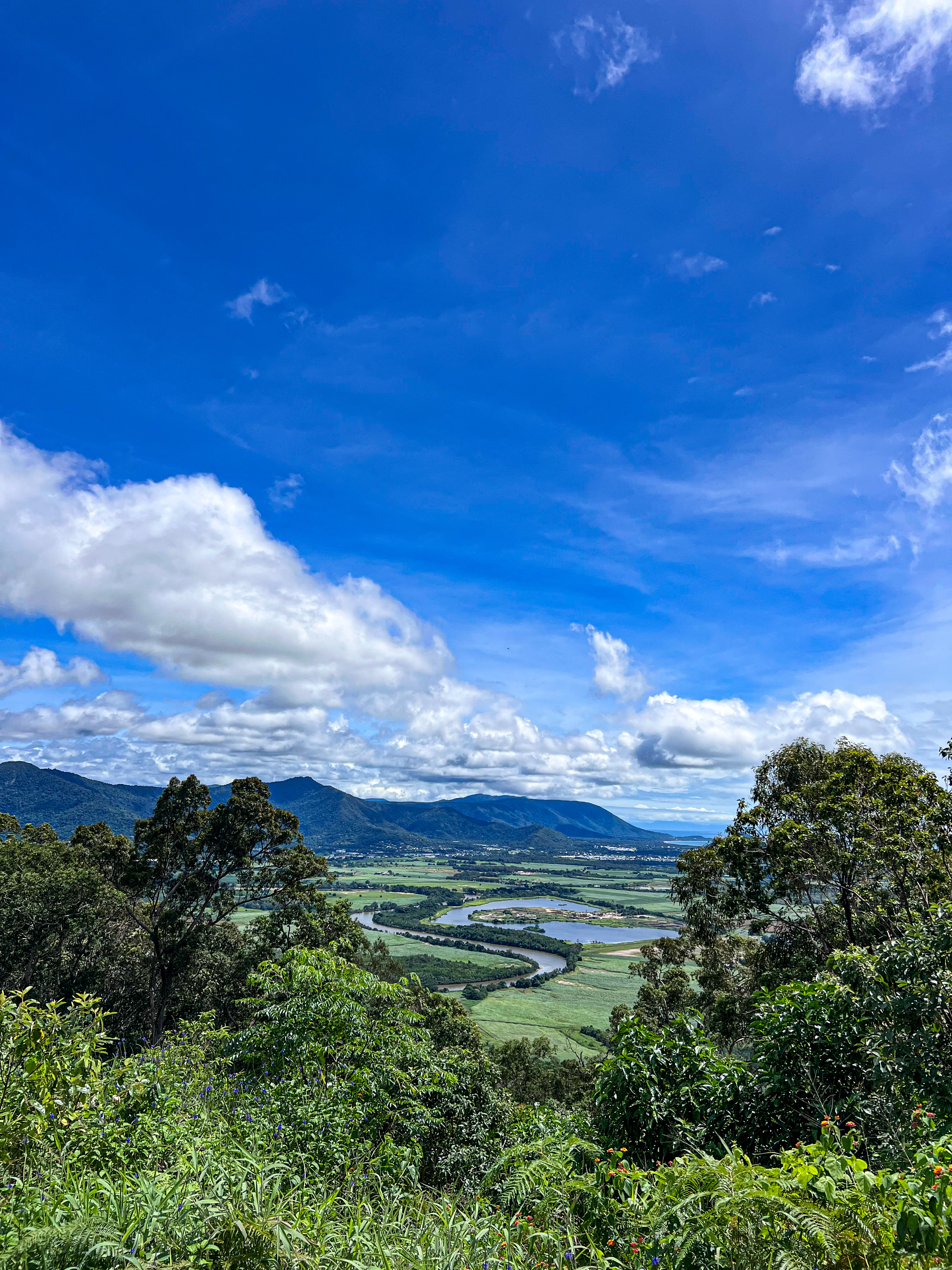 Mt. Whitfield Conservation Park