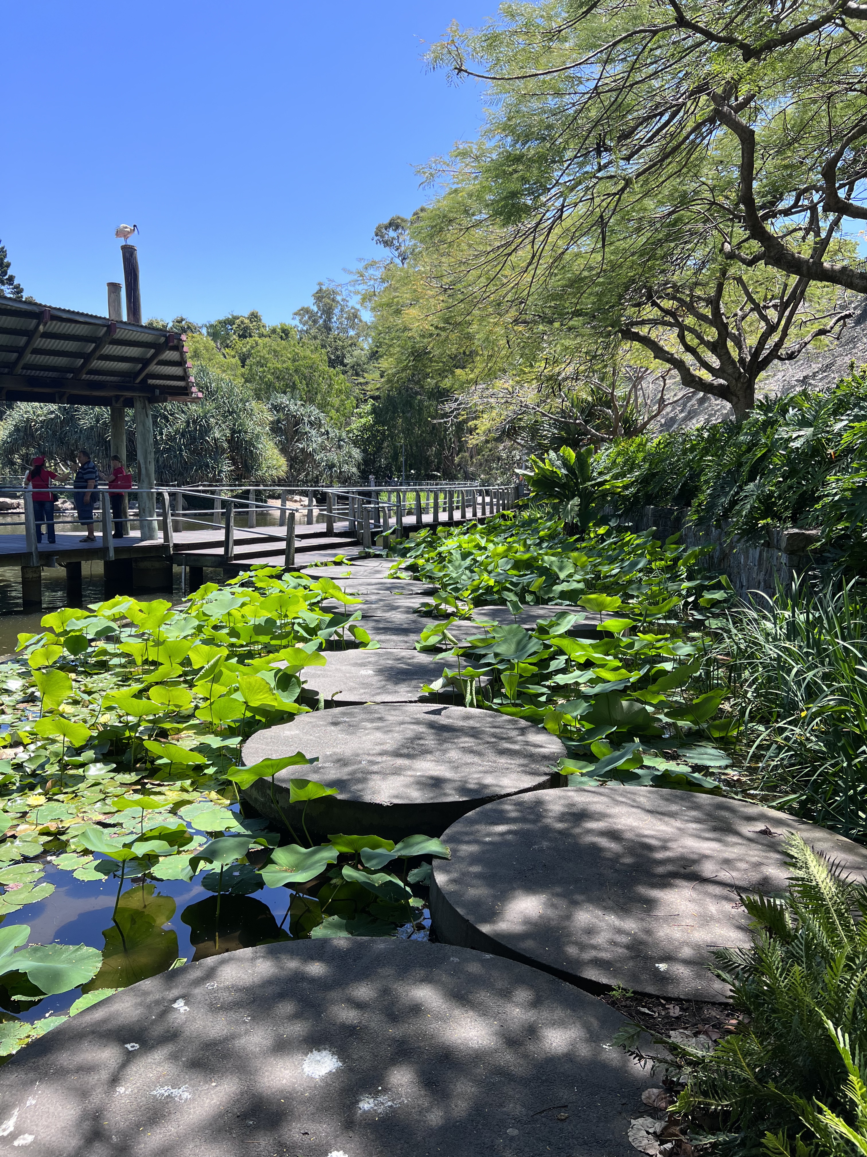 Roma Street Parkland