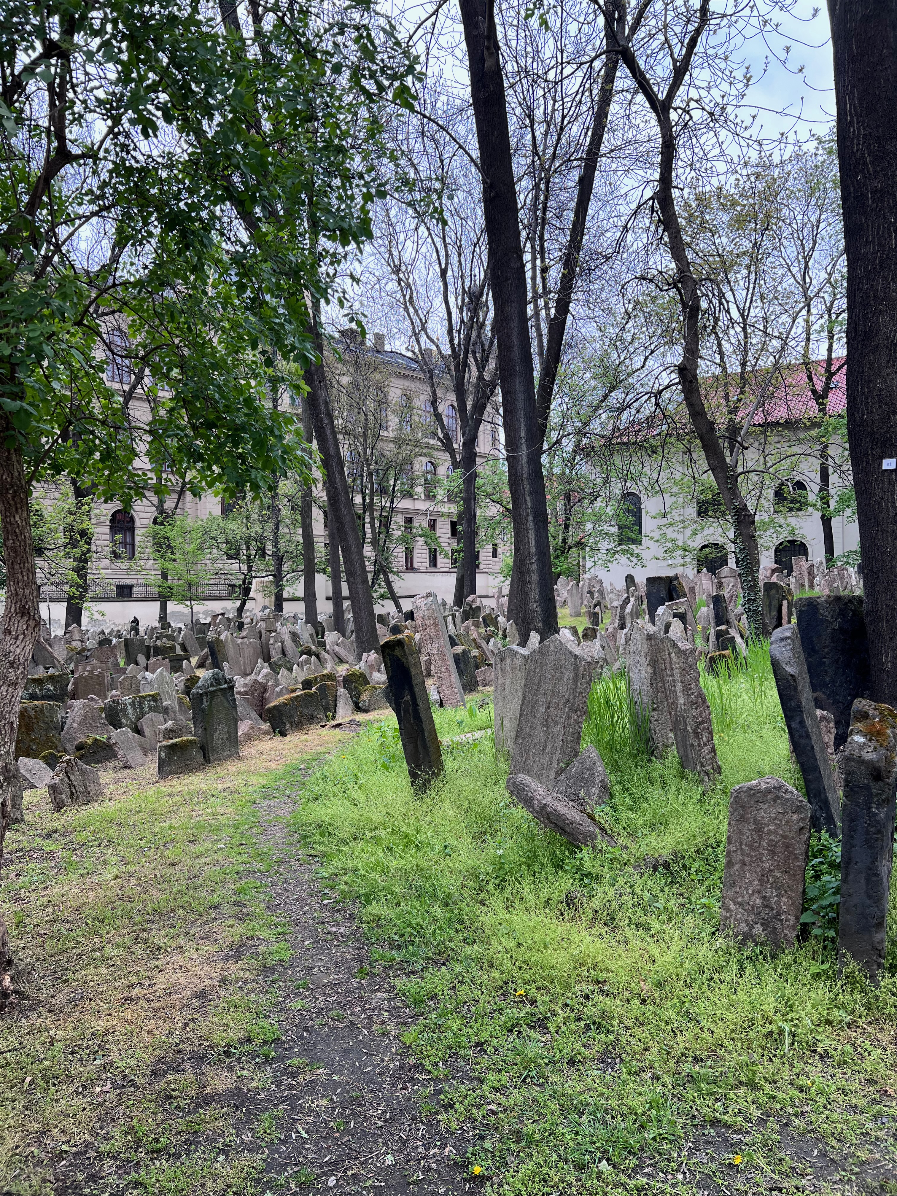 Le vieux cimetière juif