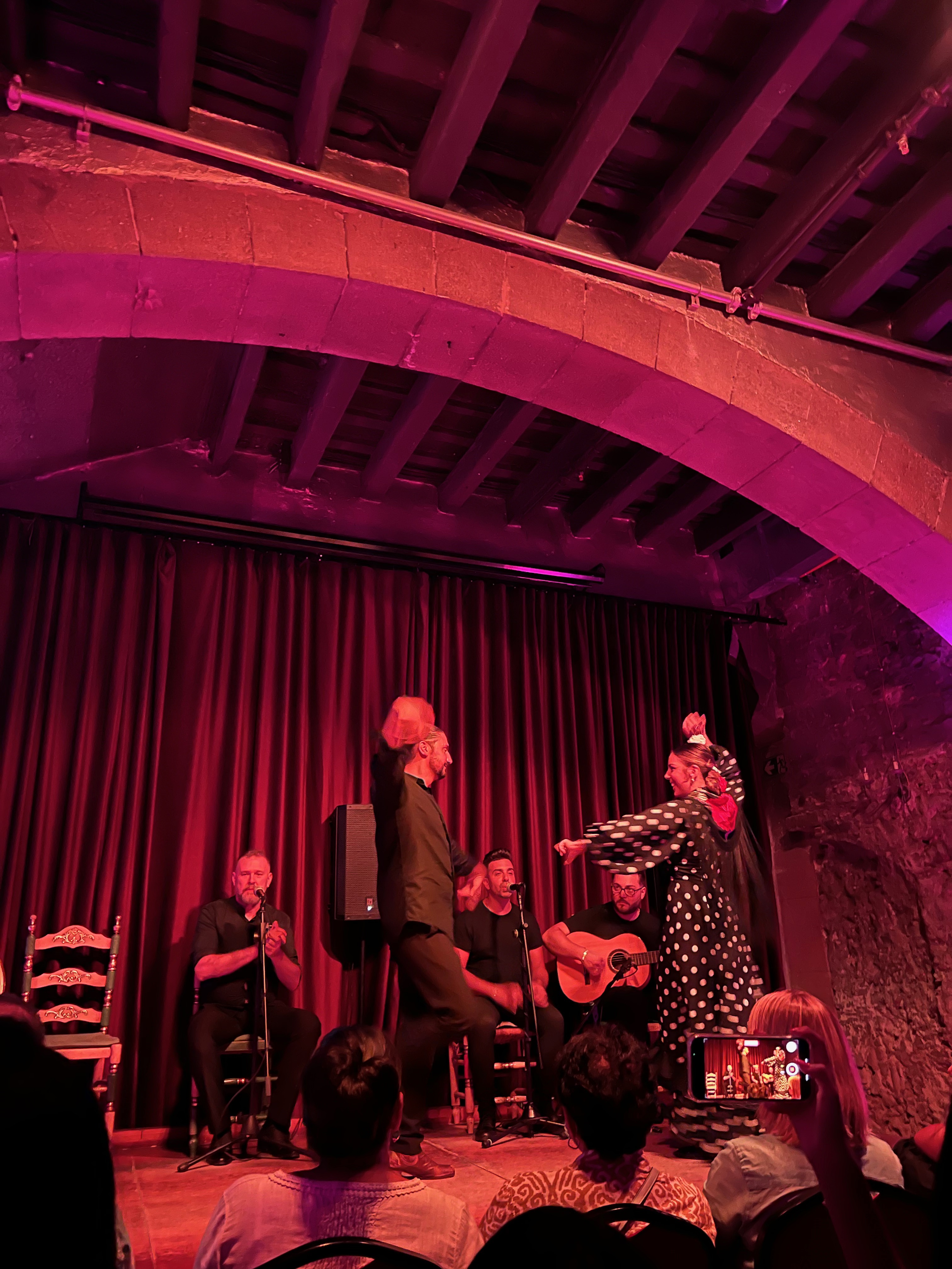 Palau Dalmases - flamenco