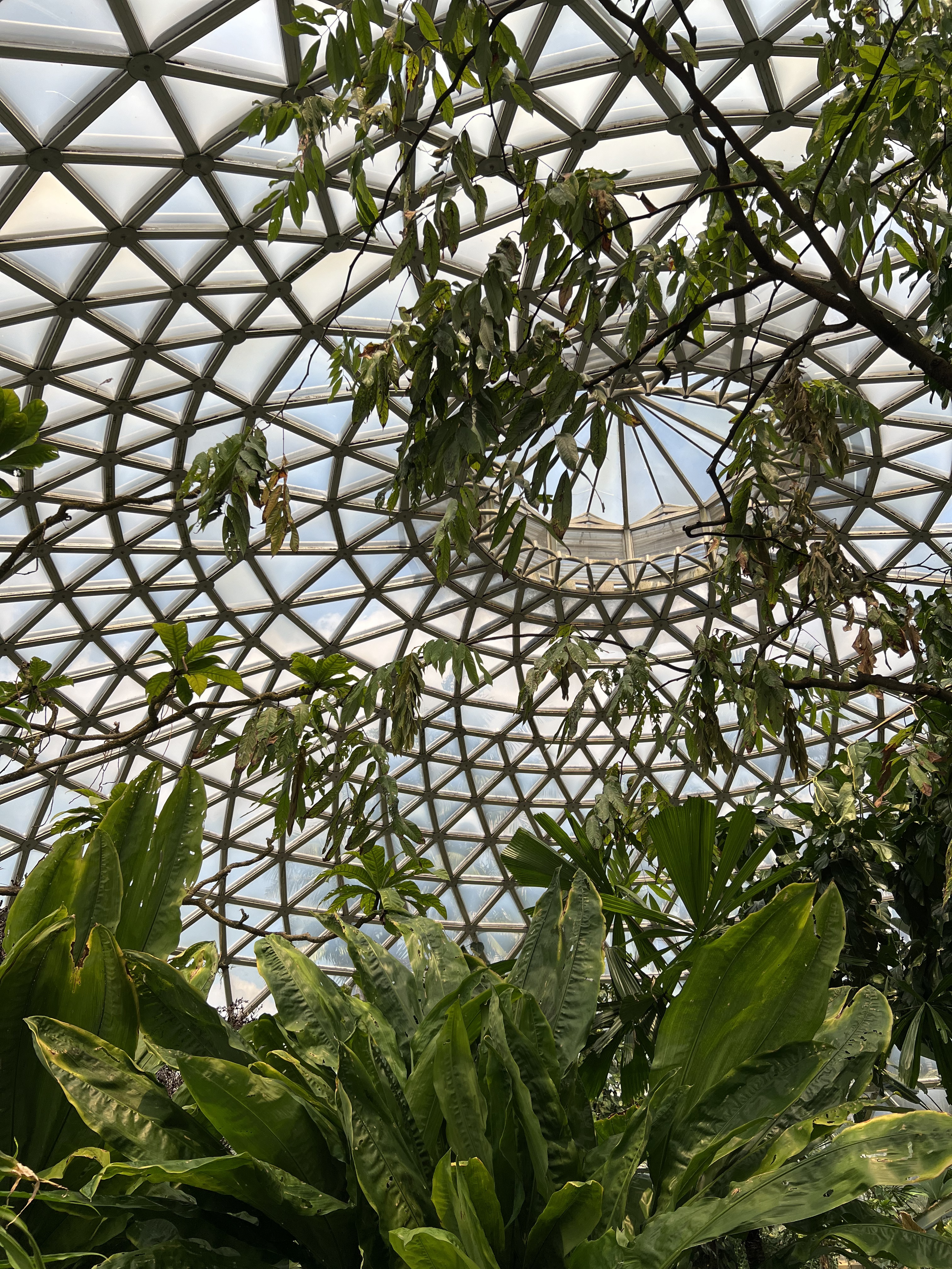 Brisbane Botanic Gardens