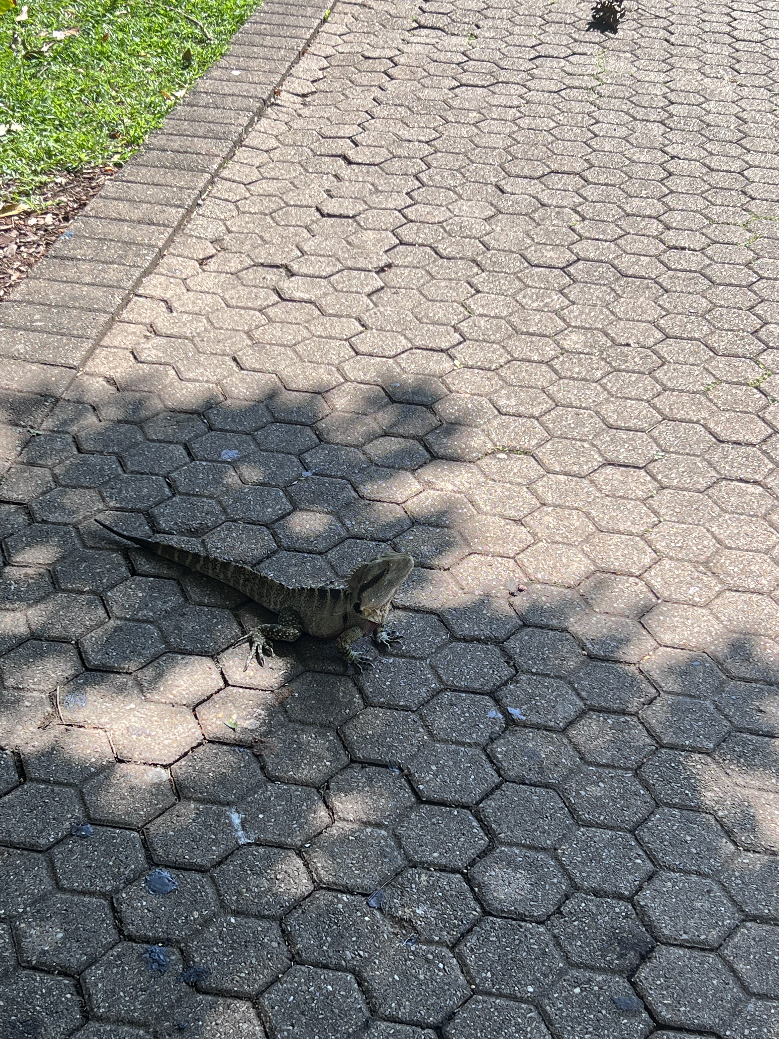 City Botanic Gardens