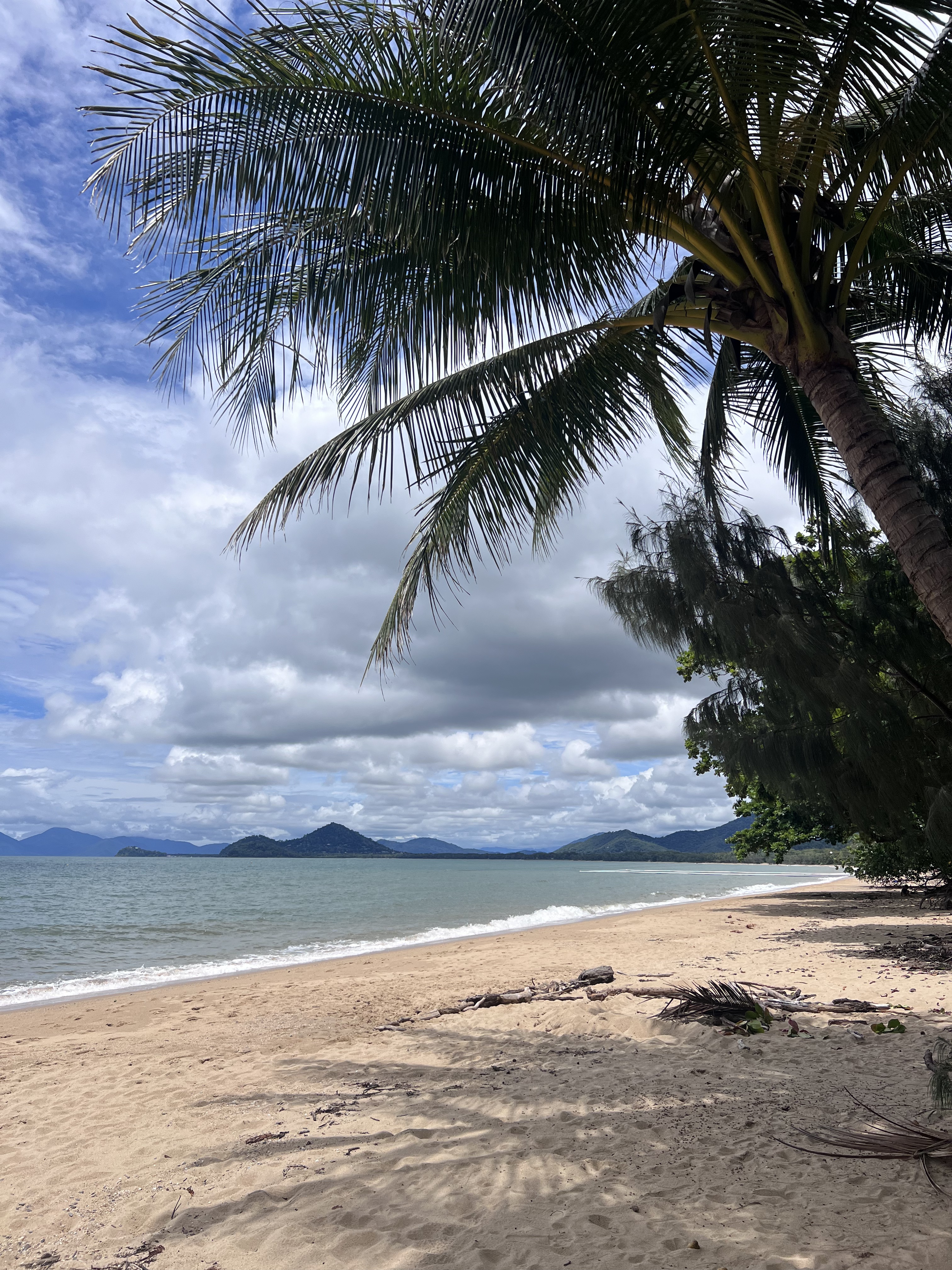 Palm Cove