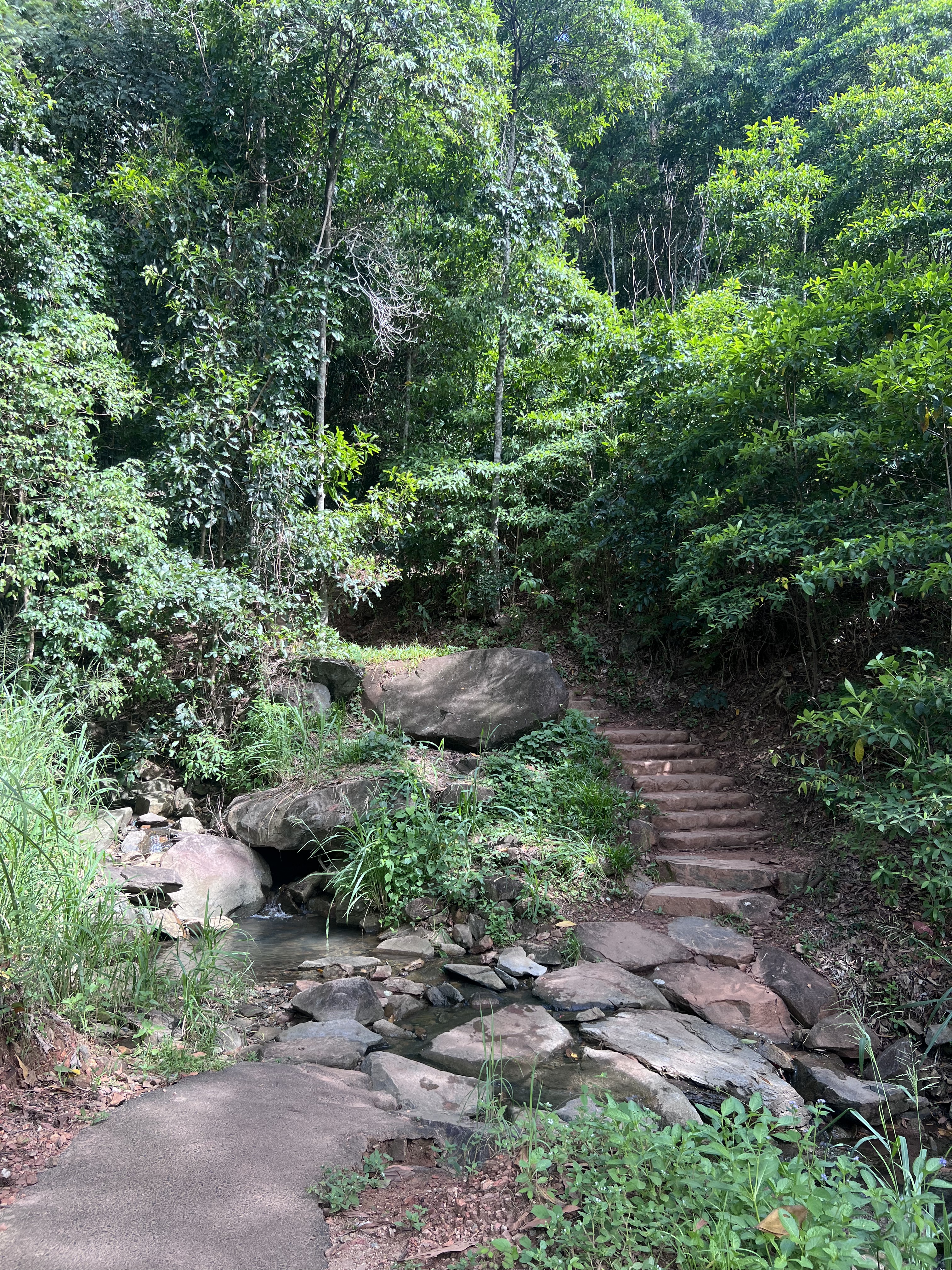 Mt. Whitfield Conservation Park