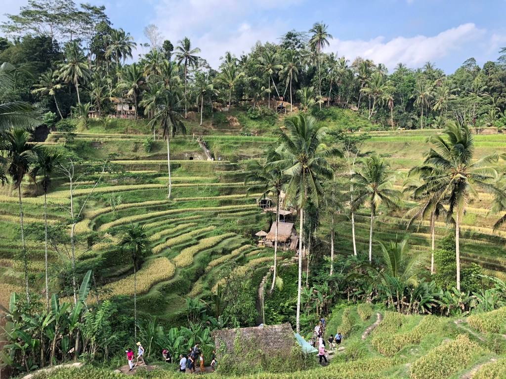 Ubud