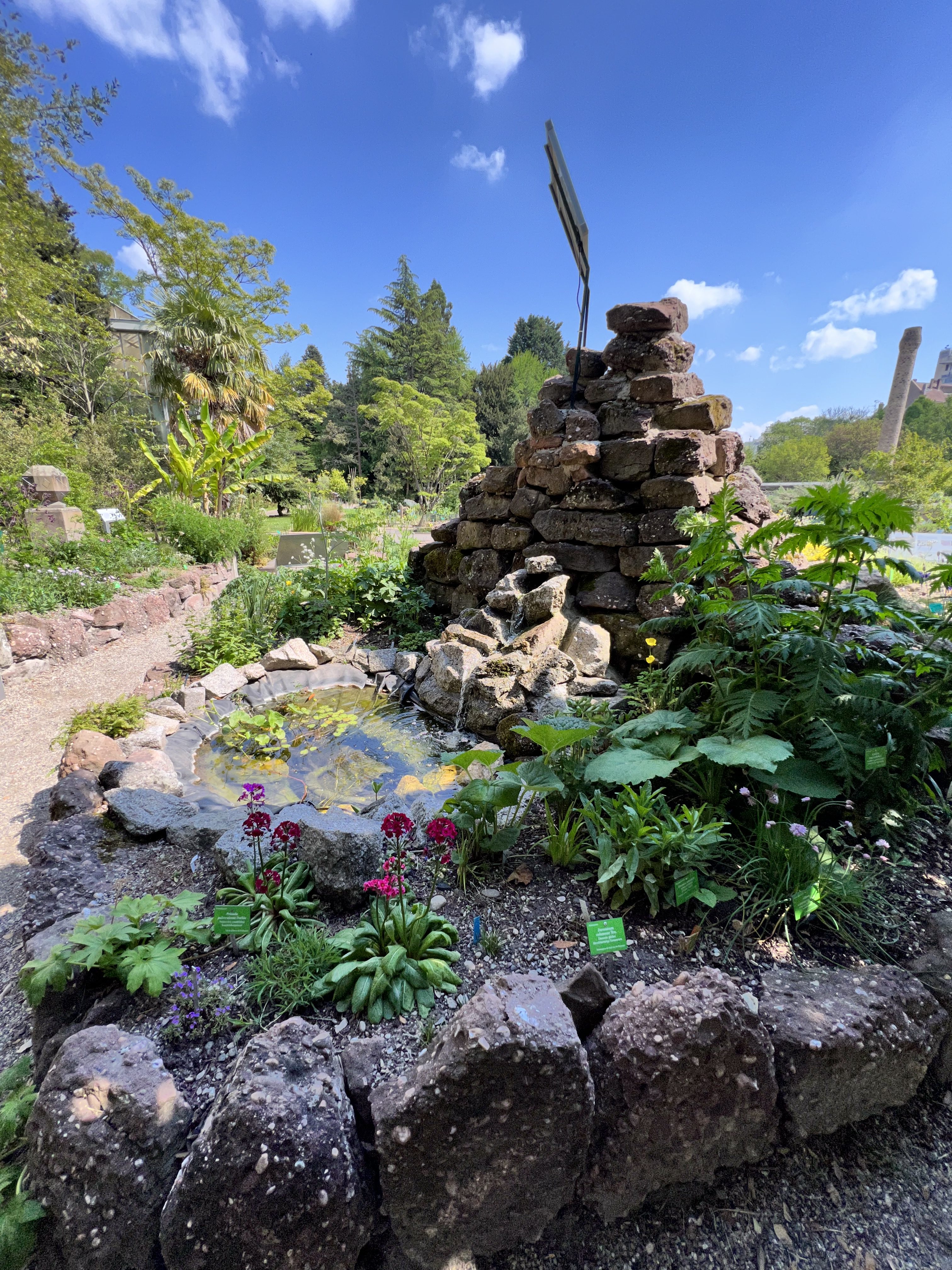 Jardin Botanique - Strasbourg