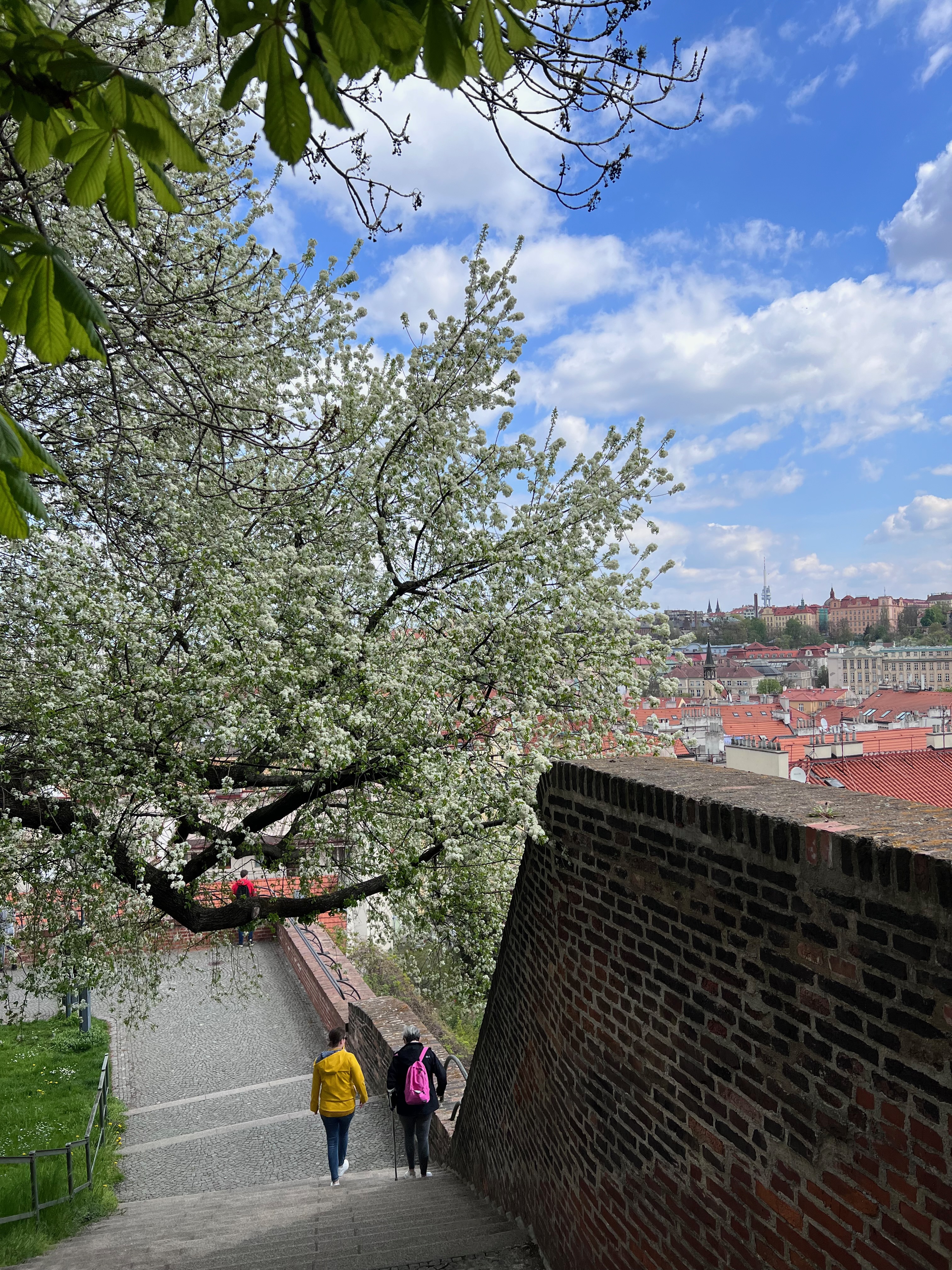 Château de Vyšehrad 