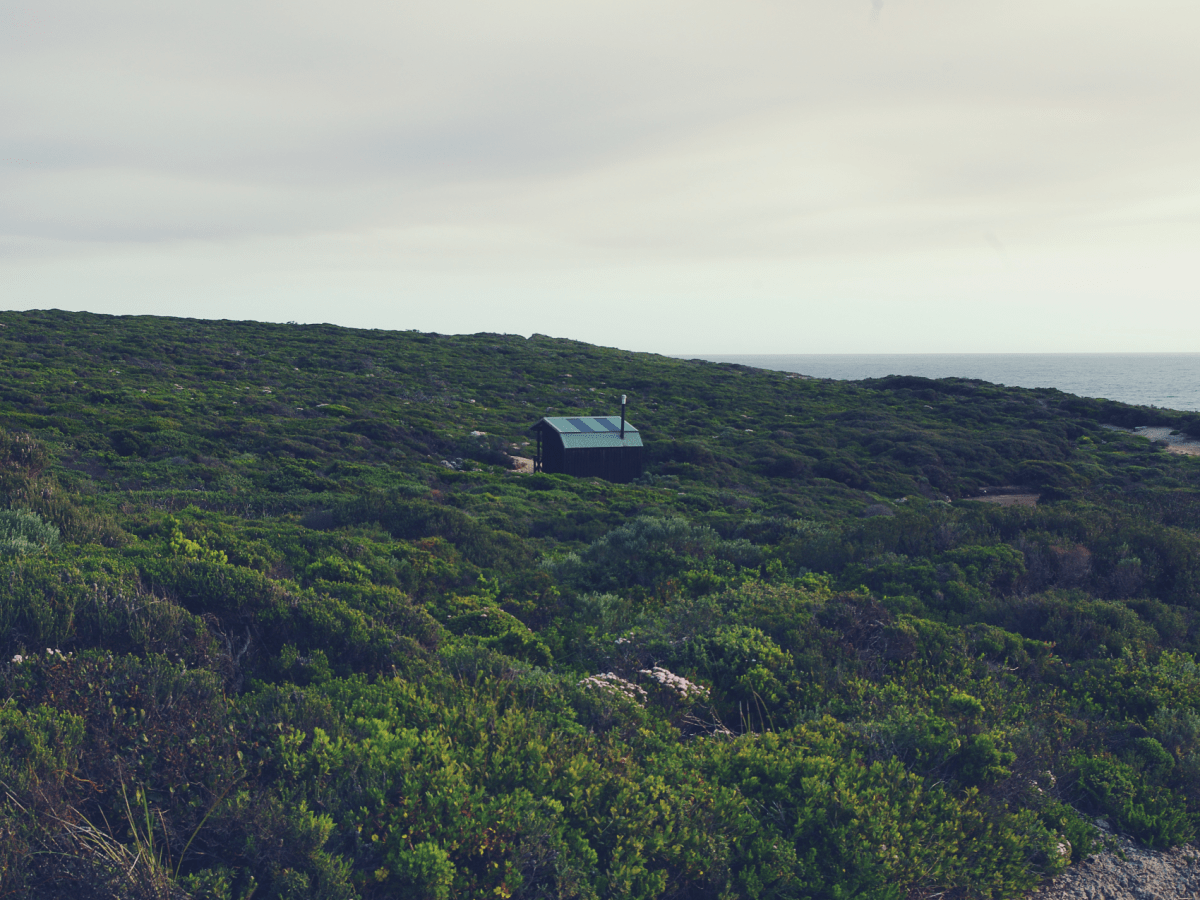 VISITER LA WEST COAST ET MARGARET&nbsp;RIVER