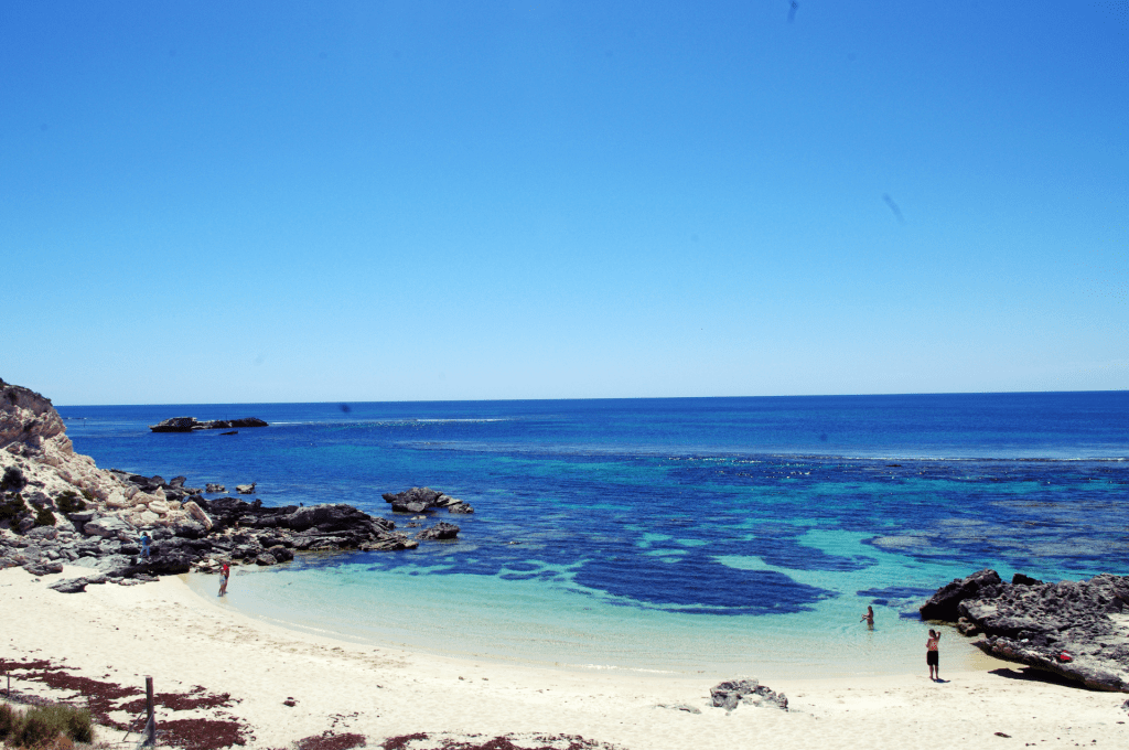 VISITER ROTTNEST ISLAND EN 1 JOUR –&nbsp;ITINÉRAIRE