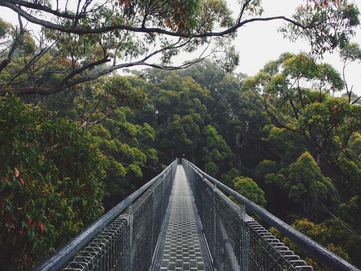 ROAD TRIP – WEEK 1 : DE PERTH À&nbsp;ESPERANCE