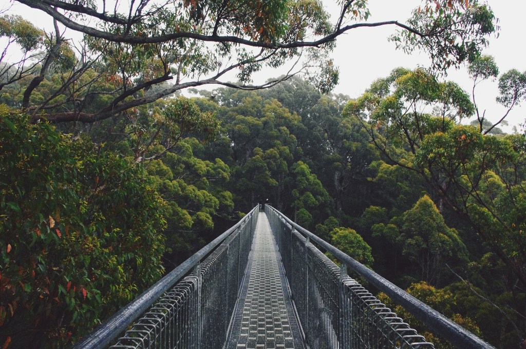 ROAD TRIP – WEEK 1 : DE PERTH À&nbsp;ESPERANCE